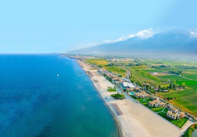 Pieria by Summer